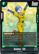 Bulma : SH [Wish For Shenron]