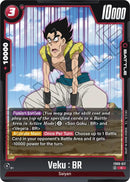 Veku : BR (FB09-017) [Dual Evolution]
