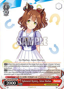 Ephemeral Mystery, Aston Machan (UMA/W106-E104) [Umamusume: Pretty Derby]