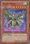Scary Moth [ANPR-EN023] Common