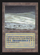 Tundra (IE) [Intl. Collectors’ Edition]